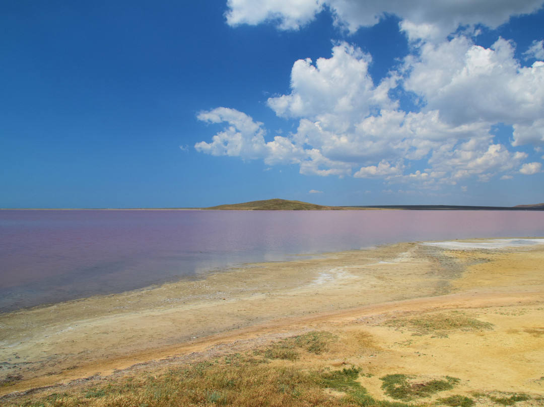 Opukskiy Nature Reserve景点图片