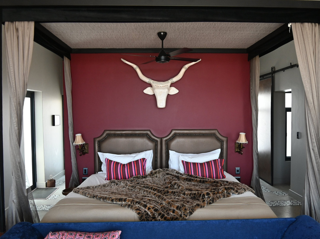 Etosha King Nehale主图