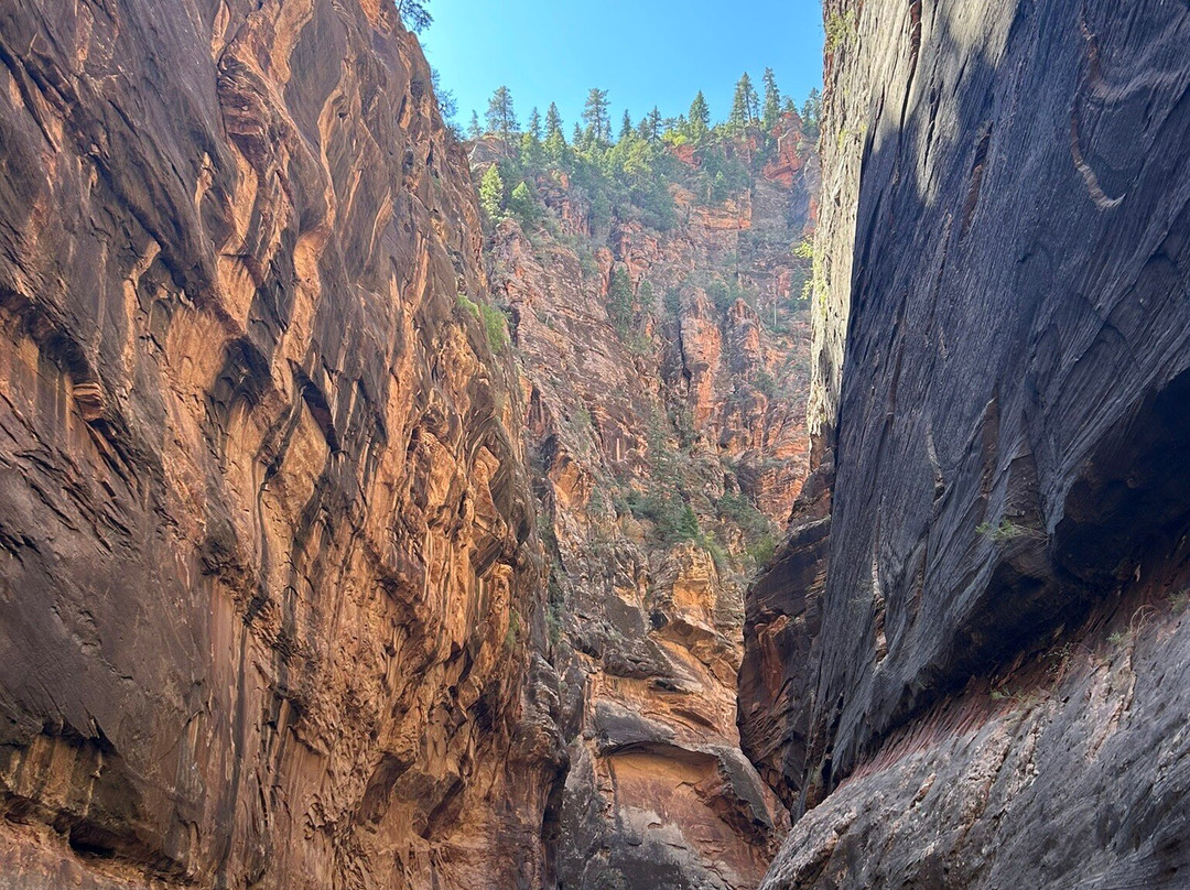 Many Pools Trail-锡安国家公园必去景点