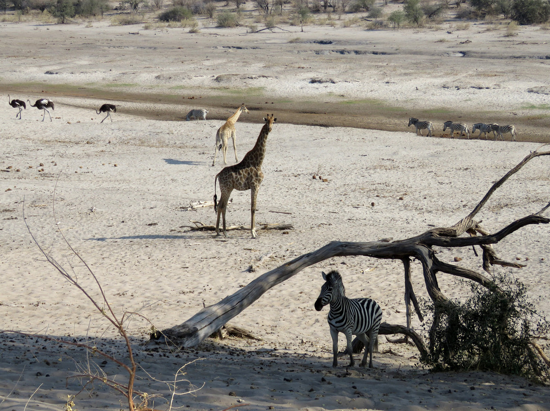 Makgadikgadi Salt Pan景点图片