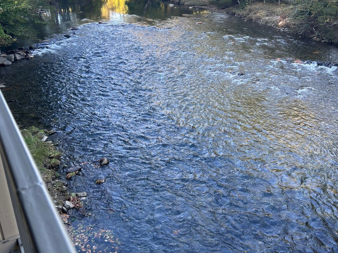 River's Edge Motel主图