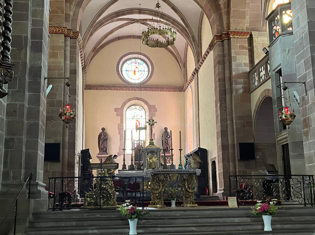 Abbatiale Saint Pierre et Paul - Eglise Sainte Richarde景点图片