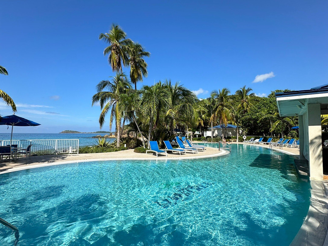 Bolongo Bay旅游景点-Limetree Pool Bar and Market