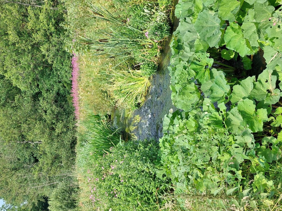 Klosterheden Plantage-累姆维必去景点