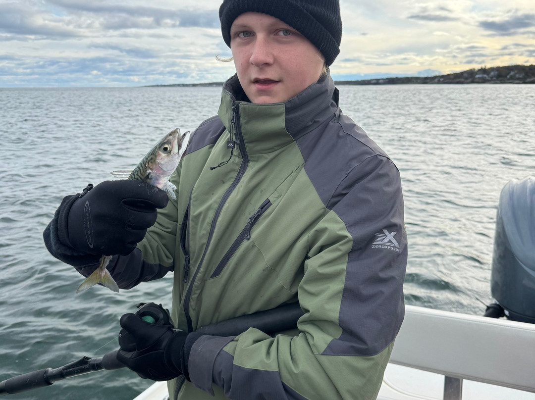 Casco Bay Adventures-南波特兰必去景点