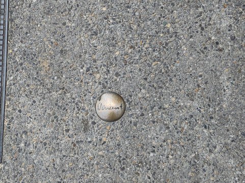 Van Gogh Walk-圣雷米必去景点