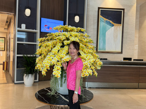 Mường Thanh Luxury Hạ Long Centre 2 Hotel主图