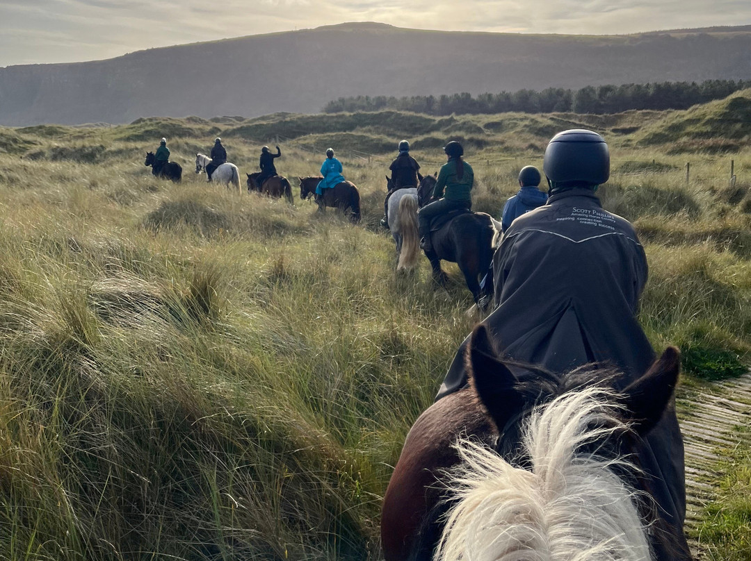 Bespoke Equestrian Ireland景点图片