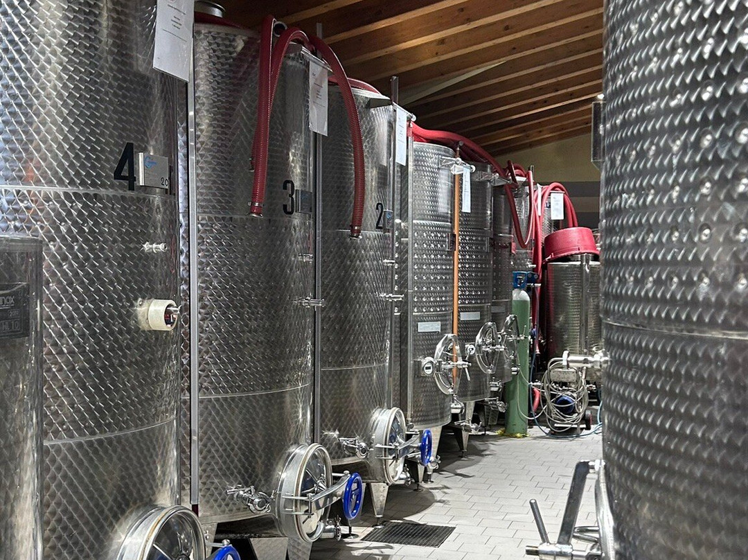 Azienda Agricola Il Dosso景点图片