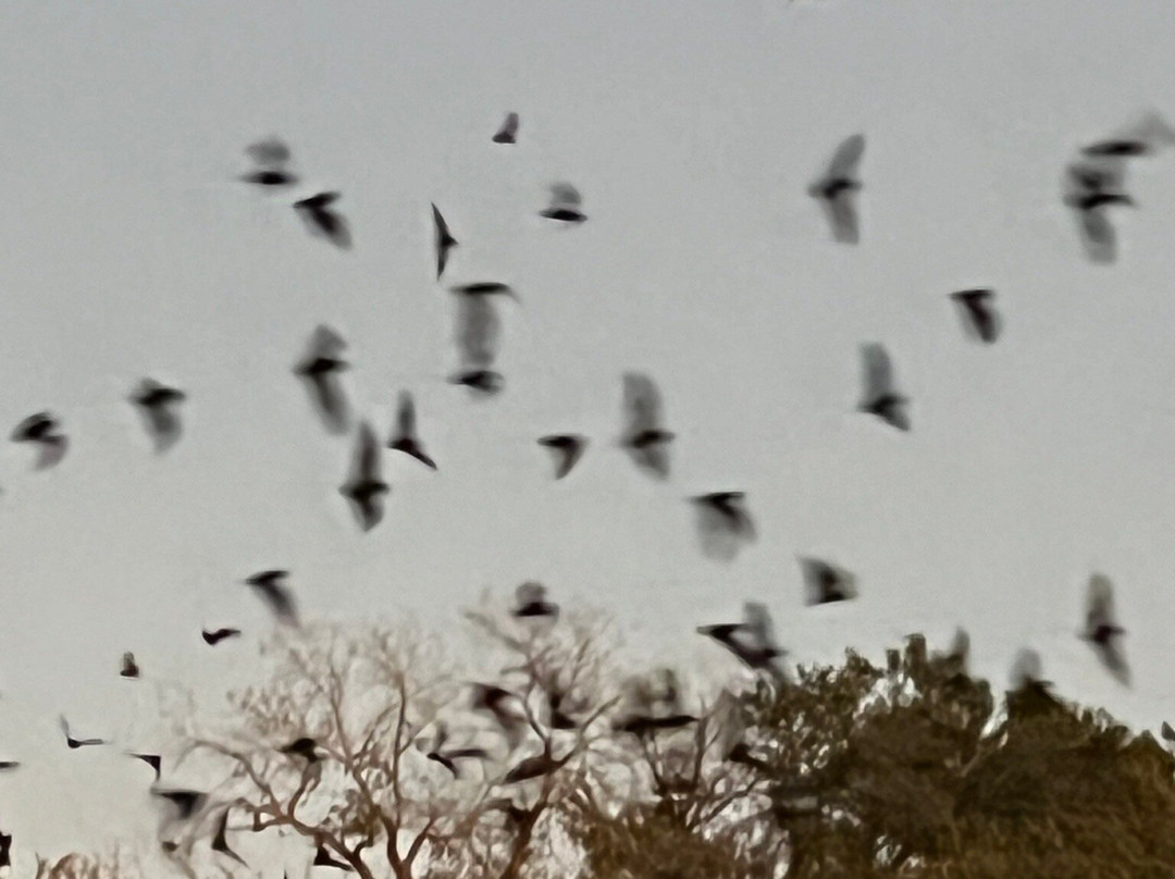 Old Tunnel State Park-弗雷德里克斯堡必去景点