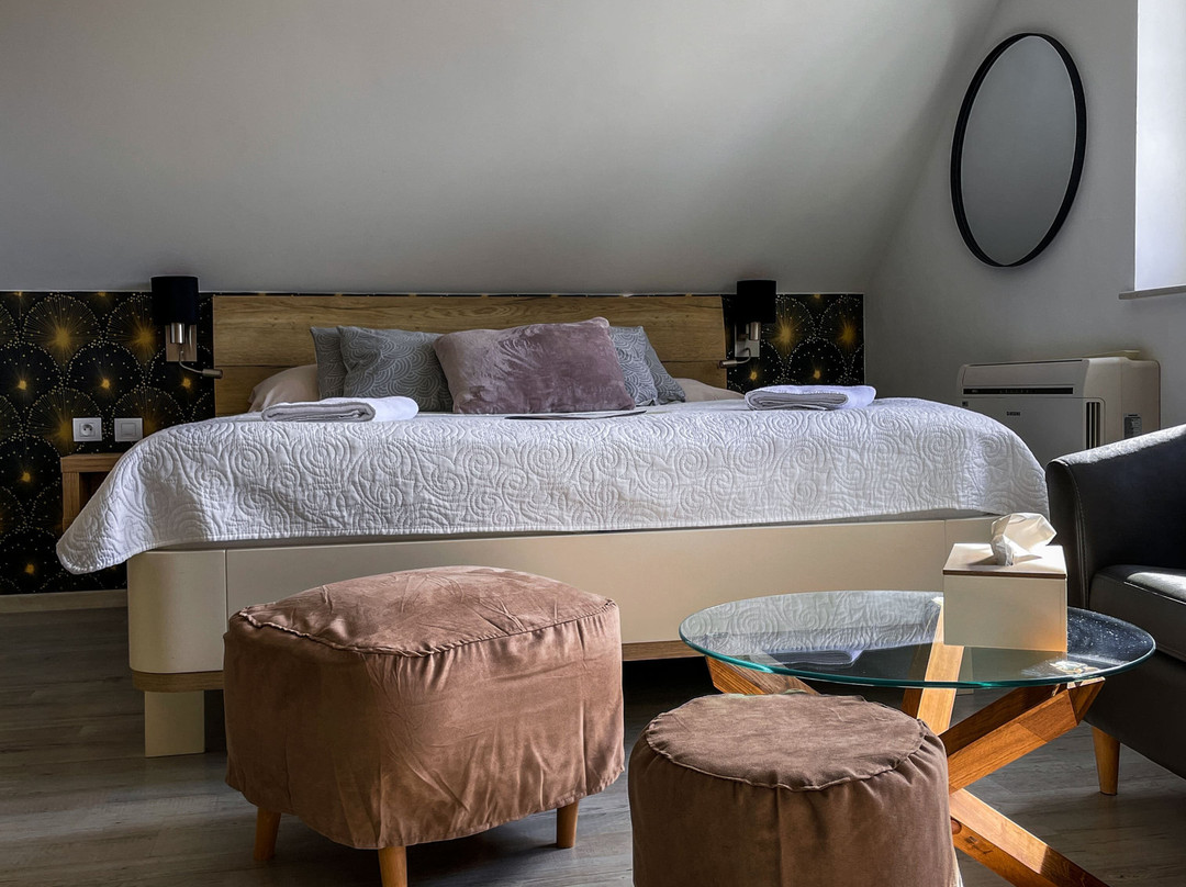 Hotel U Hradku****superior主图