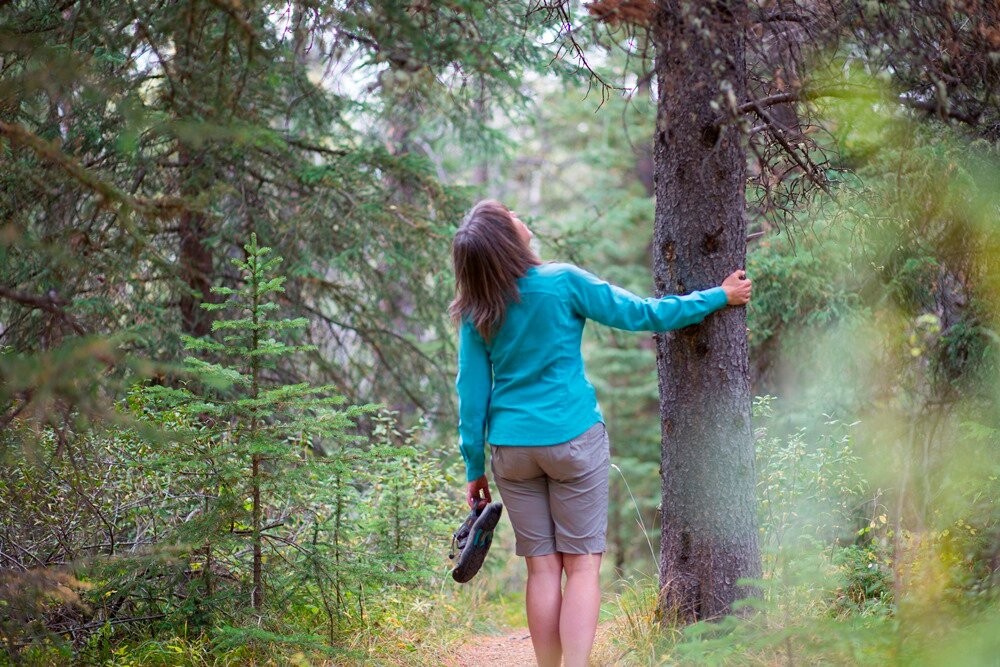 Forest Fix-班夫必去景点