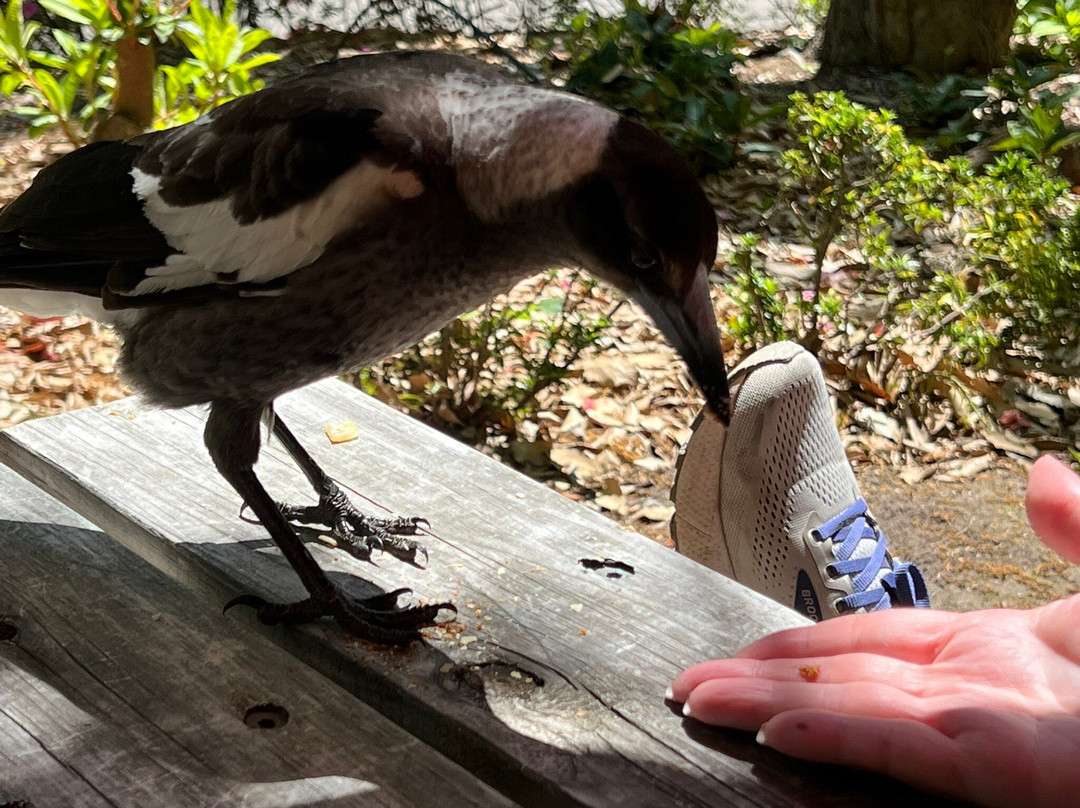 The Grand Oaks Resort主图