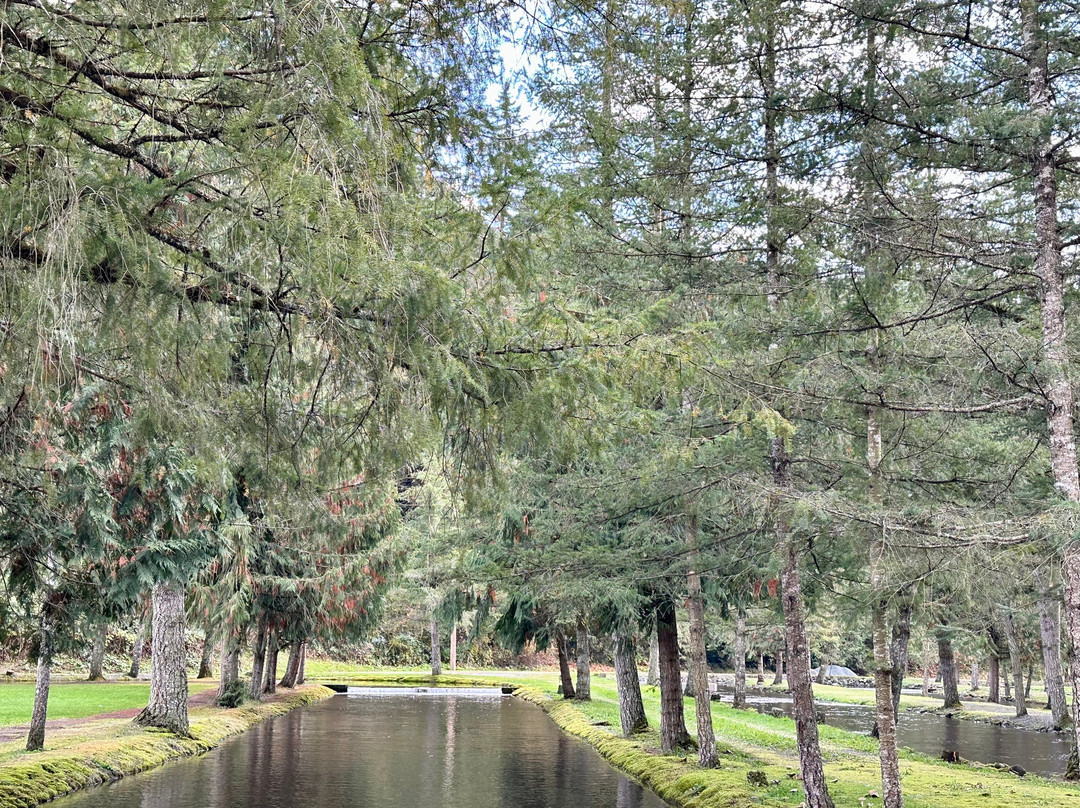 Weaver Creek Spawning Channel Recreation Site-阿加斯市必去景点