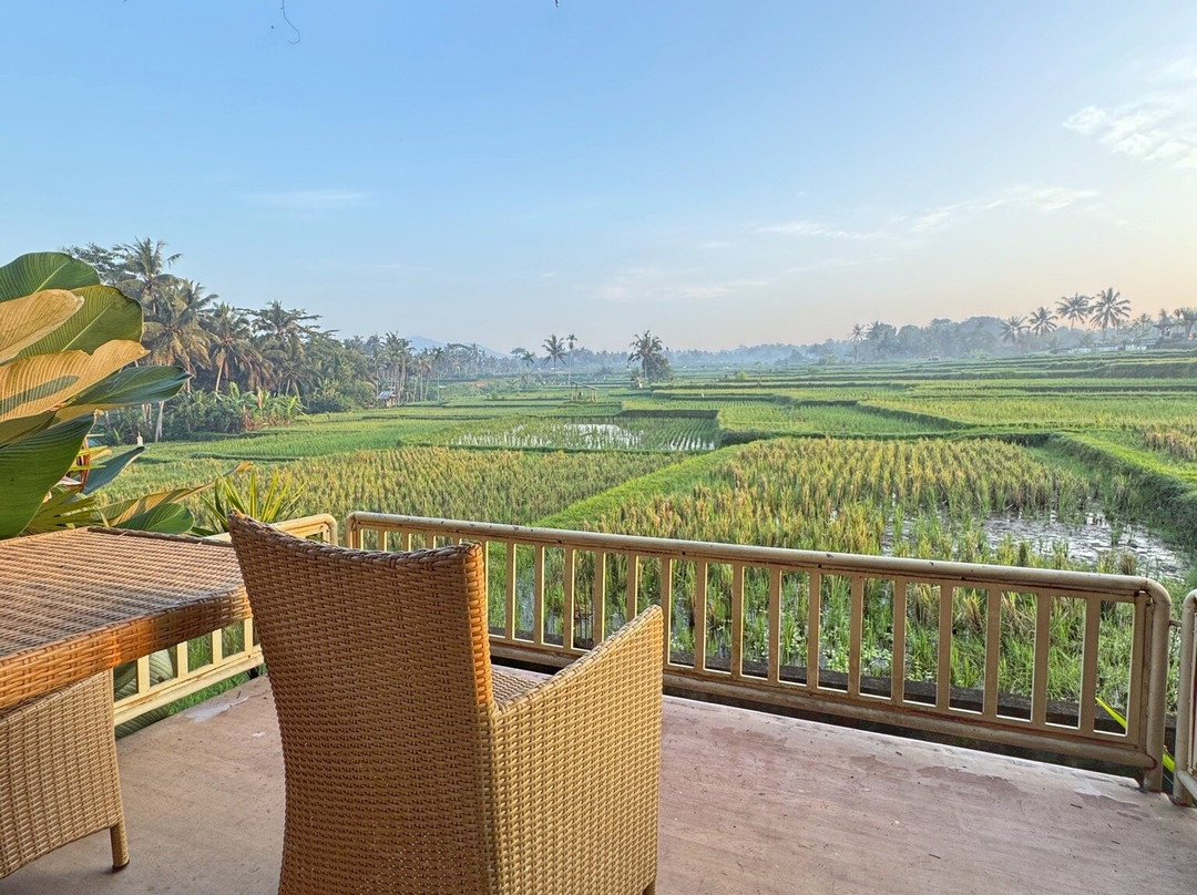 Padi Bali Ubud Eco Retreat主图