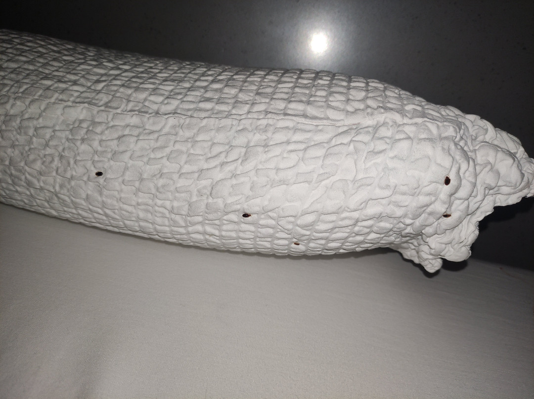 Premiere Classe Angers Ouest - Beaucouze主图