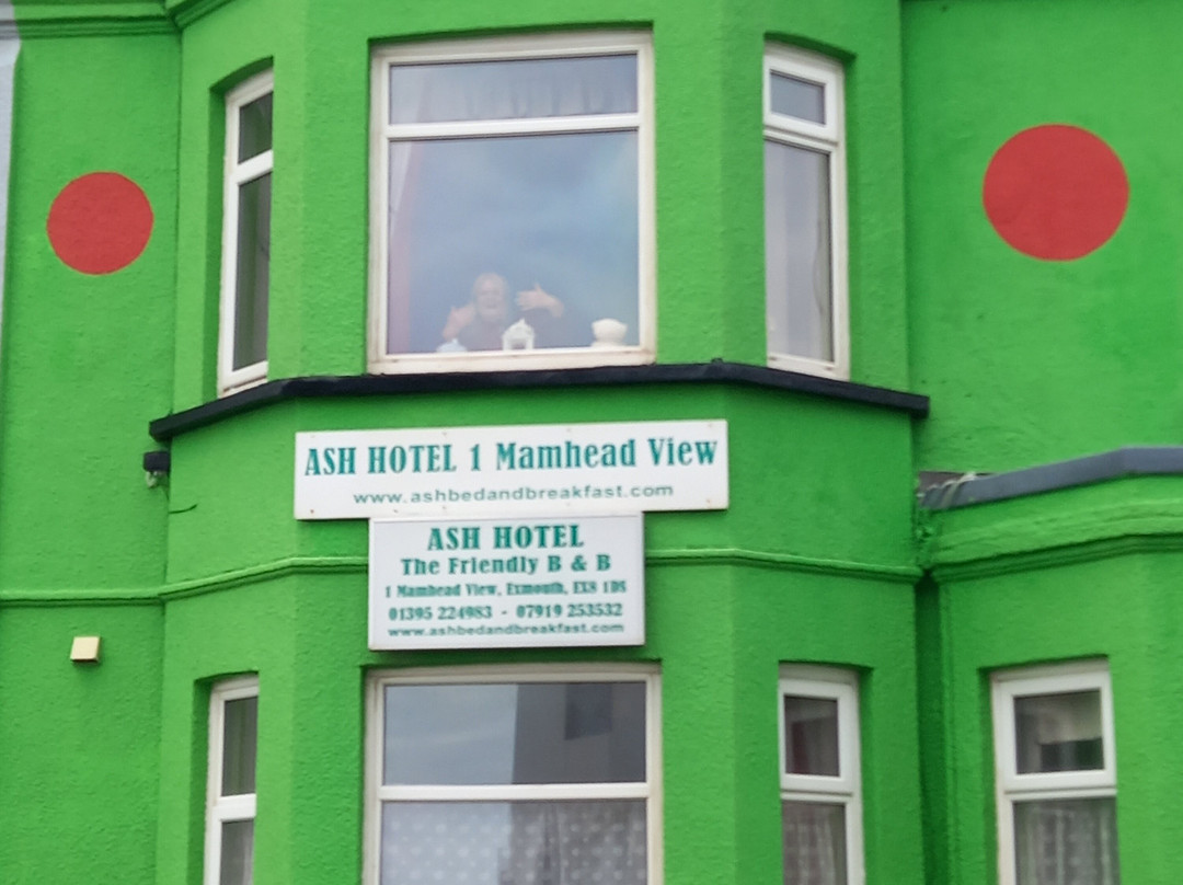 阿什住宿加早餐旅馆主图