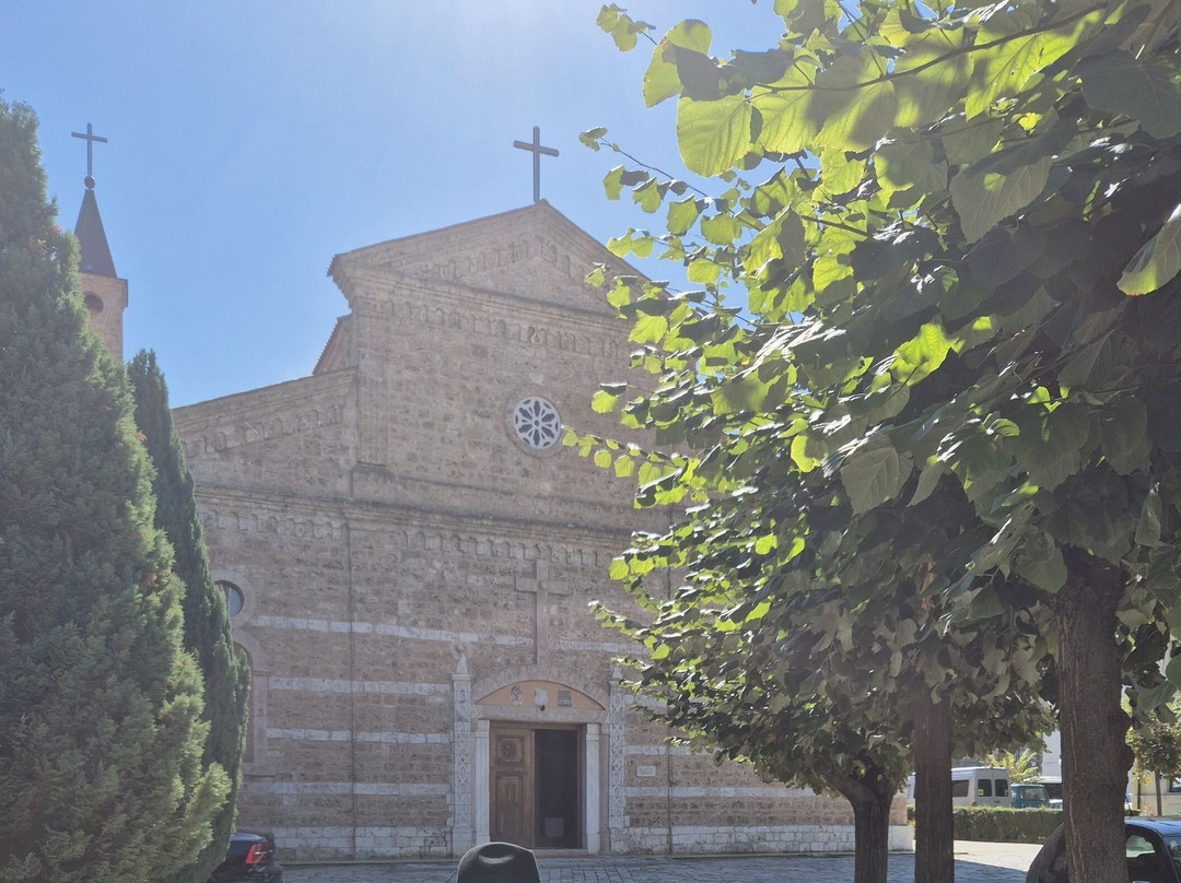 Cathedral of Our Lady of Perpetual Succour景点图片