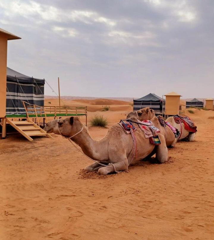 The Camels Adventures Camp