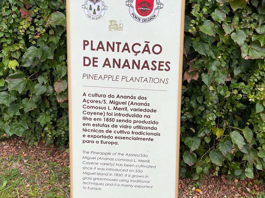 Arruda Pineapple Plantation-蓬塔德尔加达必去景点