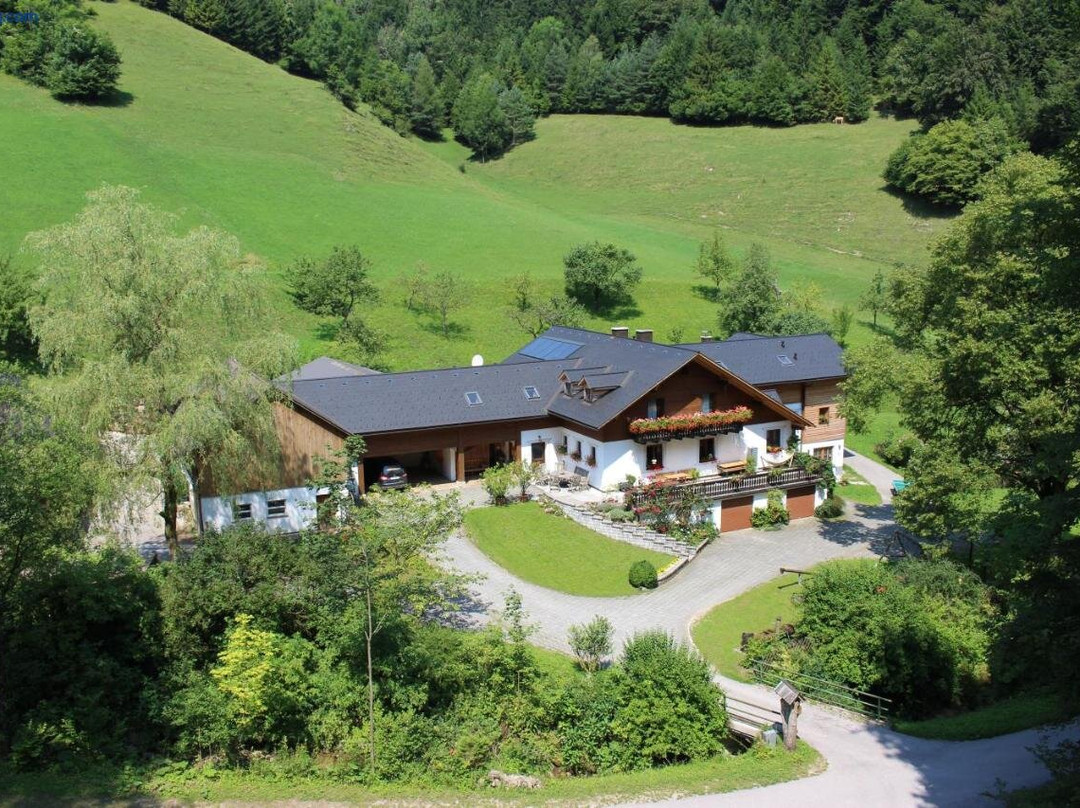 Bauernhof Fallmann "Lueg"