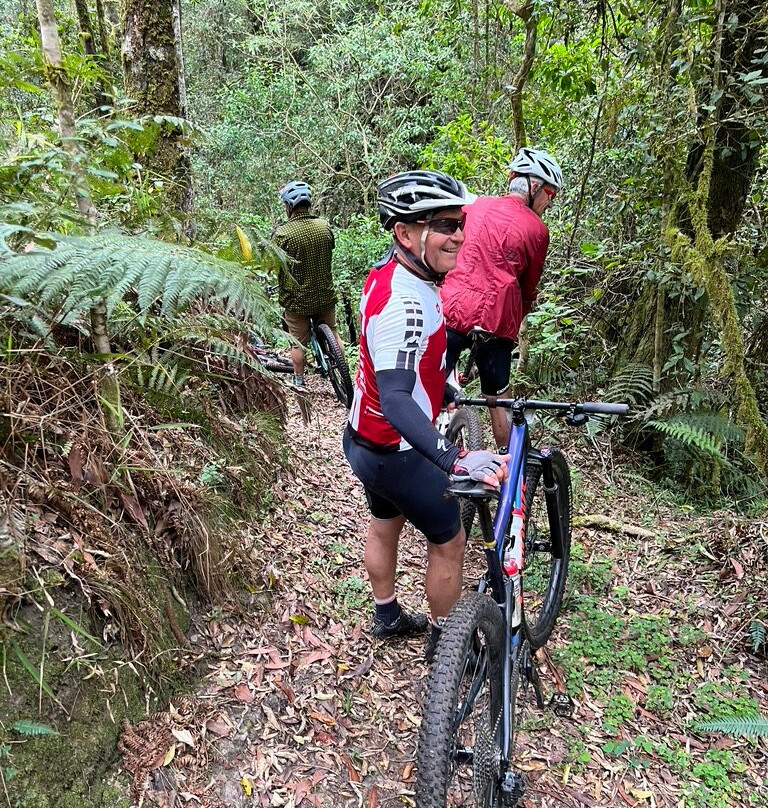 Tour De Tsitsikamma-自然谷必去景点