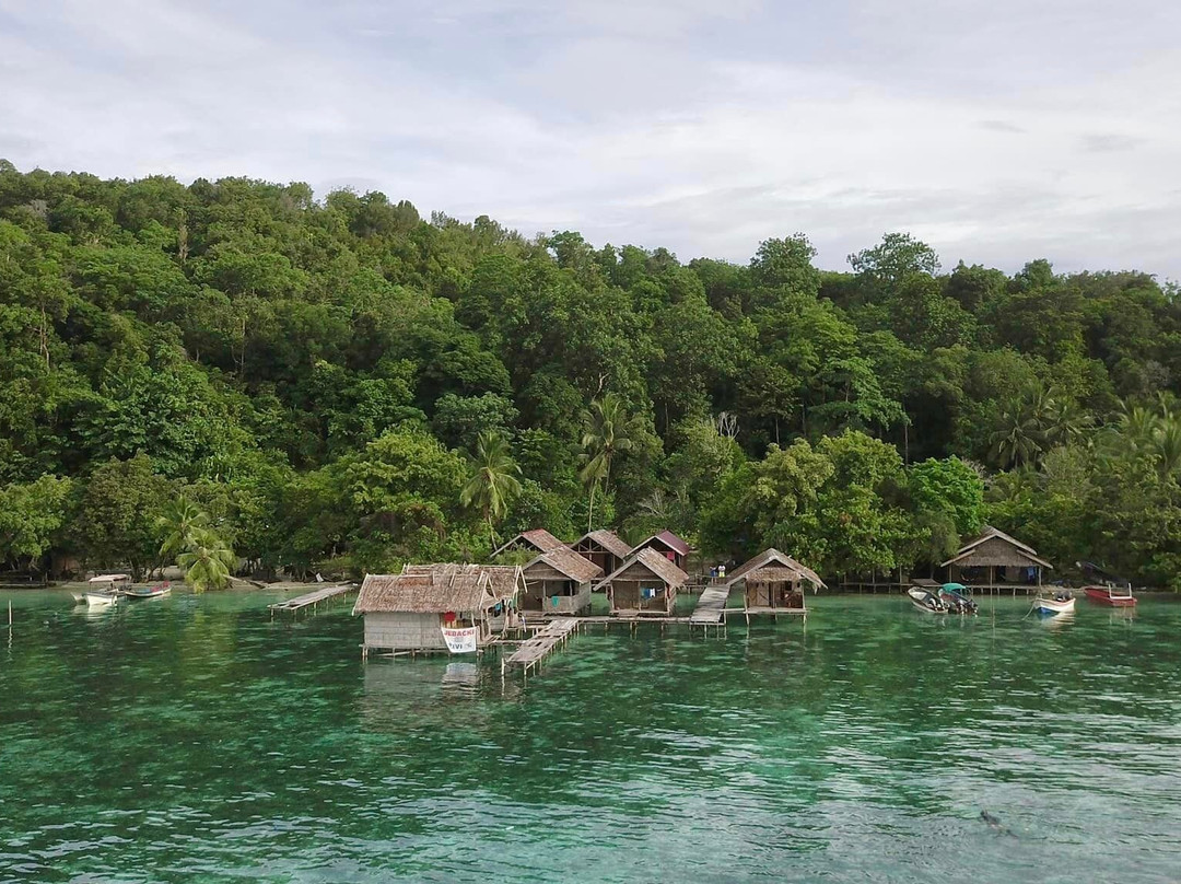 Delvin Homestay主图