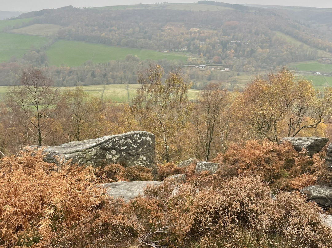 Froggatt Stone circle景点图片