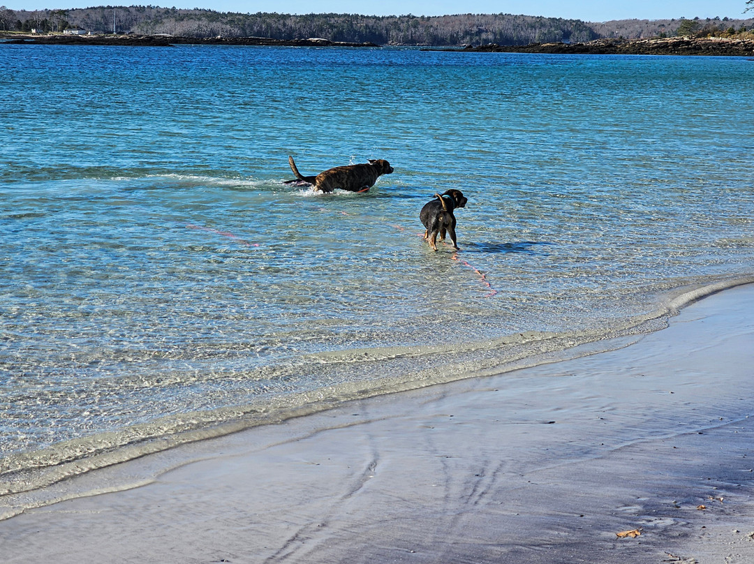 Pemaquid Beach Park景点图片
