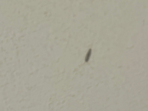 Spa B'o Resort-Bagnoles-de-l'Orne必去景点