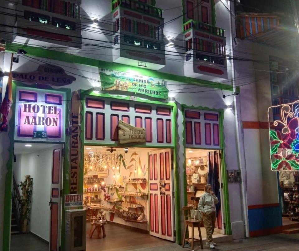 Hotel Aaron Filandia