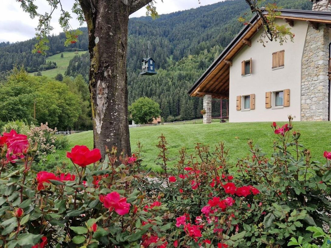 B&B La Paganina