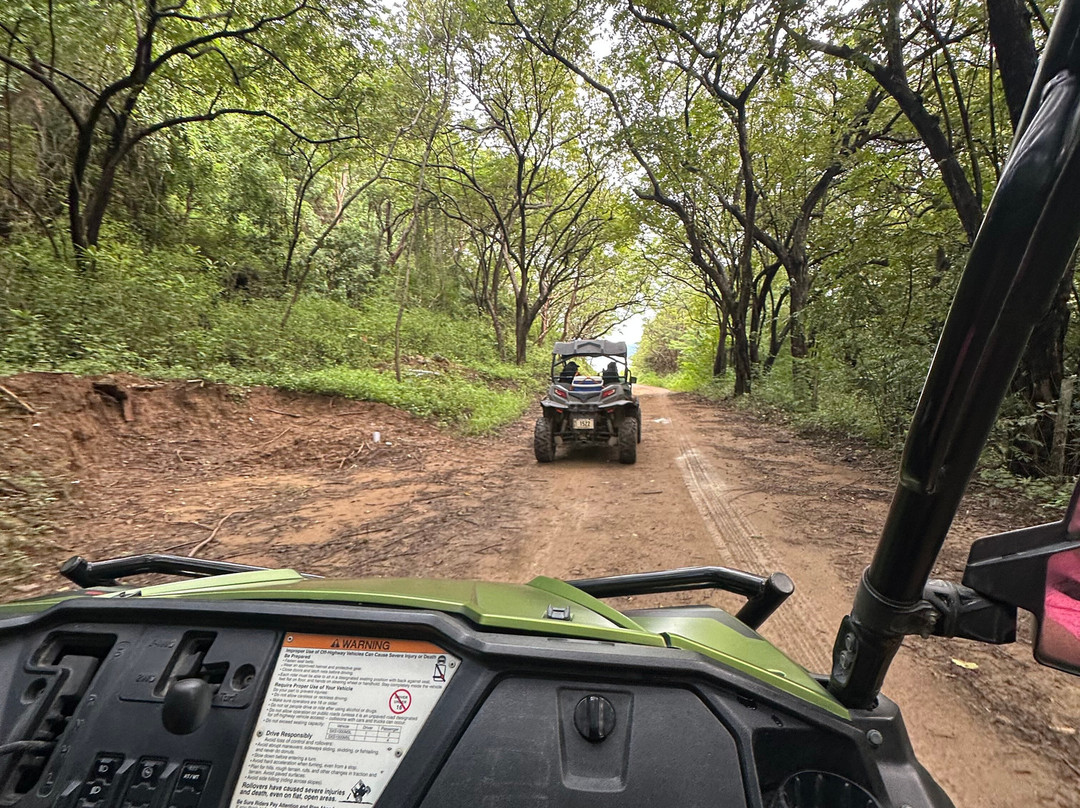 4x4 Tours CR景点图片