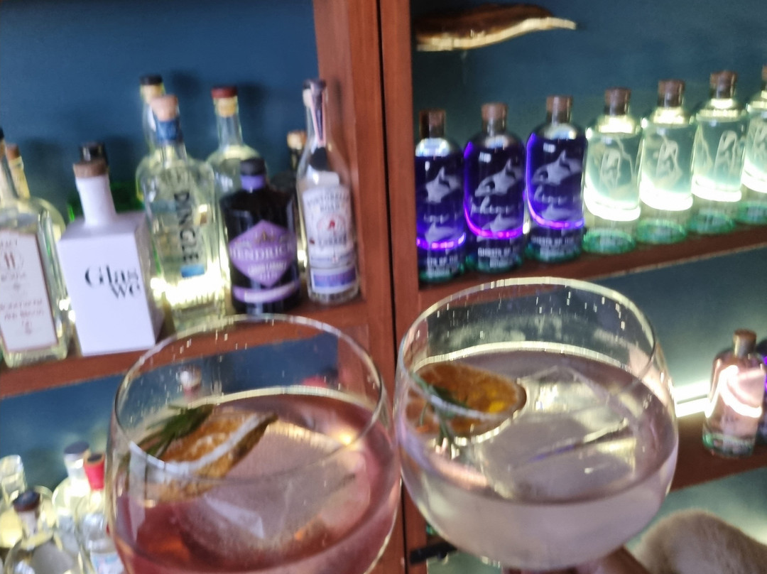 The Gin Library-蓬塔德尔加达必去景点