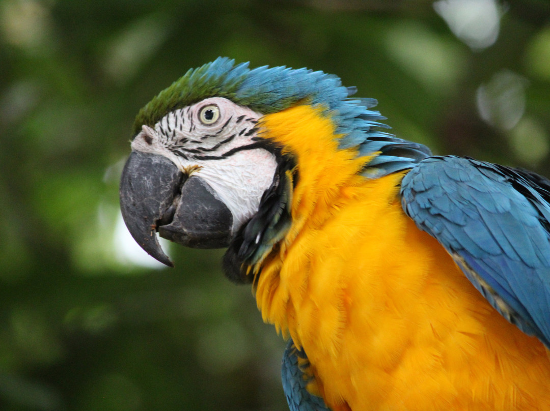 Oro y Luna Lodge主图