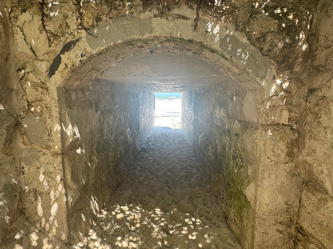 索奈科斯贵宾酒店主图