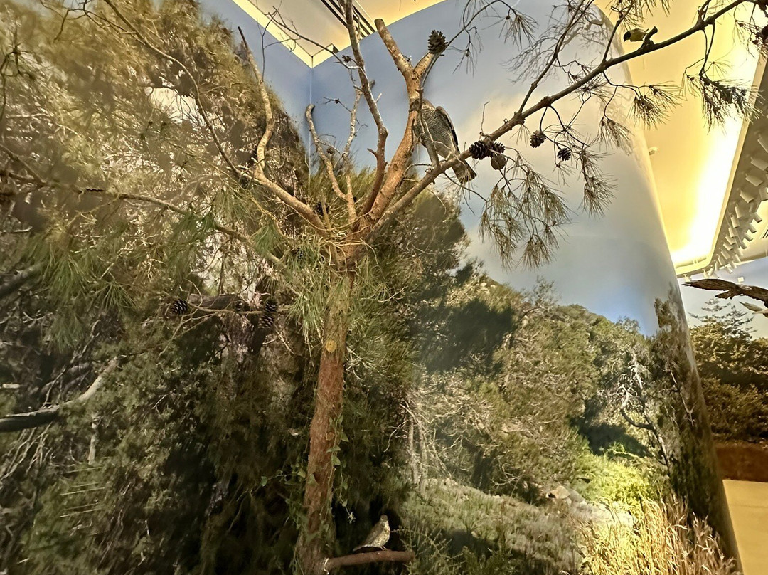 Akamas Avifauna And Flora Visitor Centre-卡西卡斯必去景点