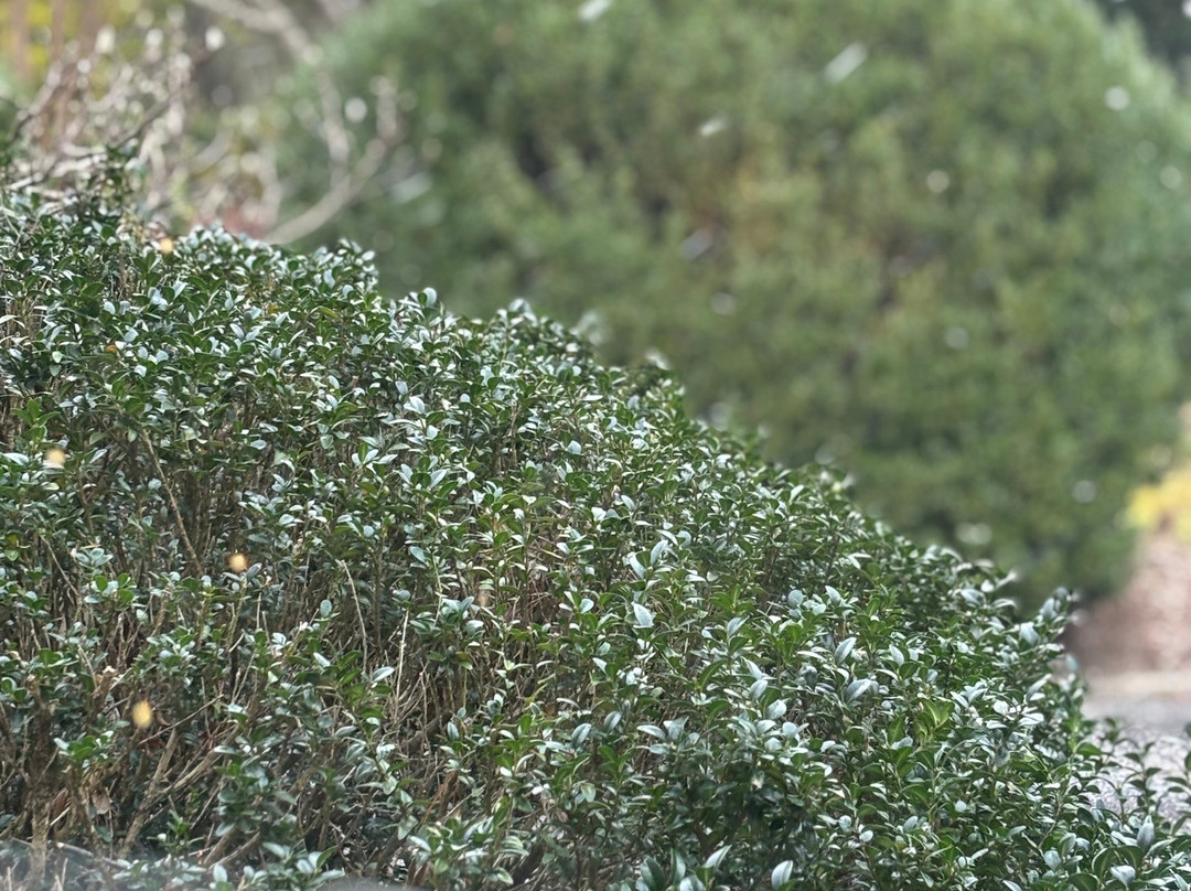 Pinebrook Manor B&B Inn主图