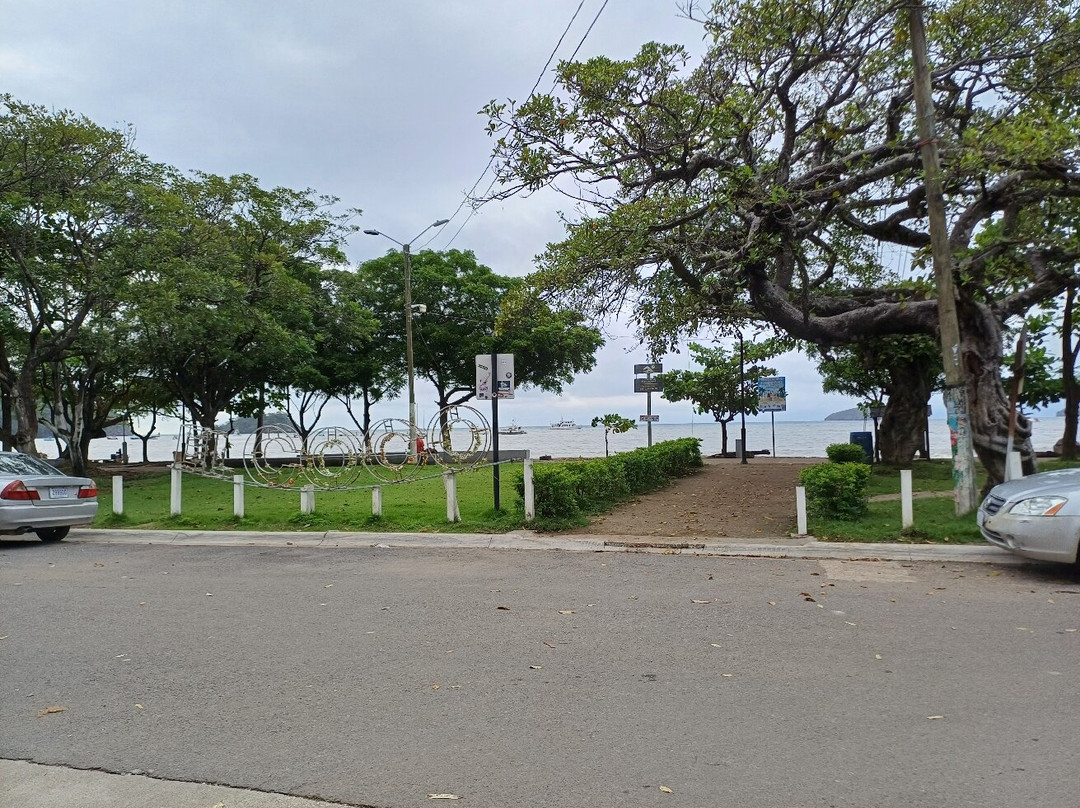 Playas del coco景点图片