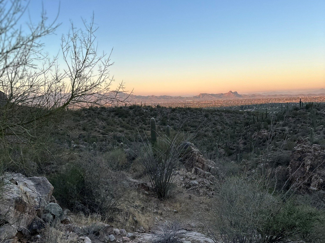 Linda Vista Trail-Oro Valley必去景点