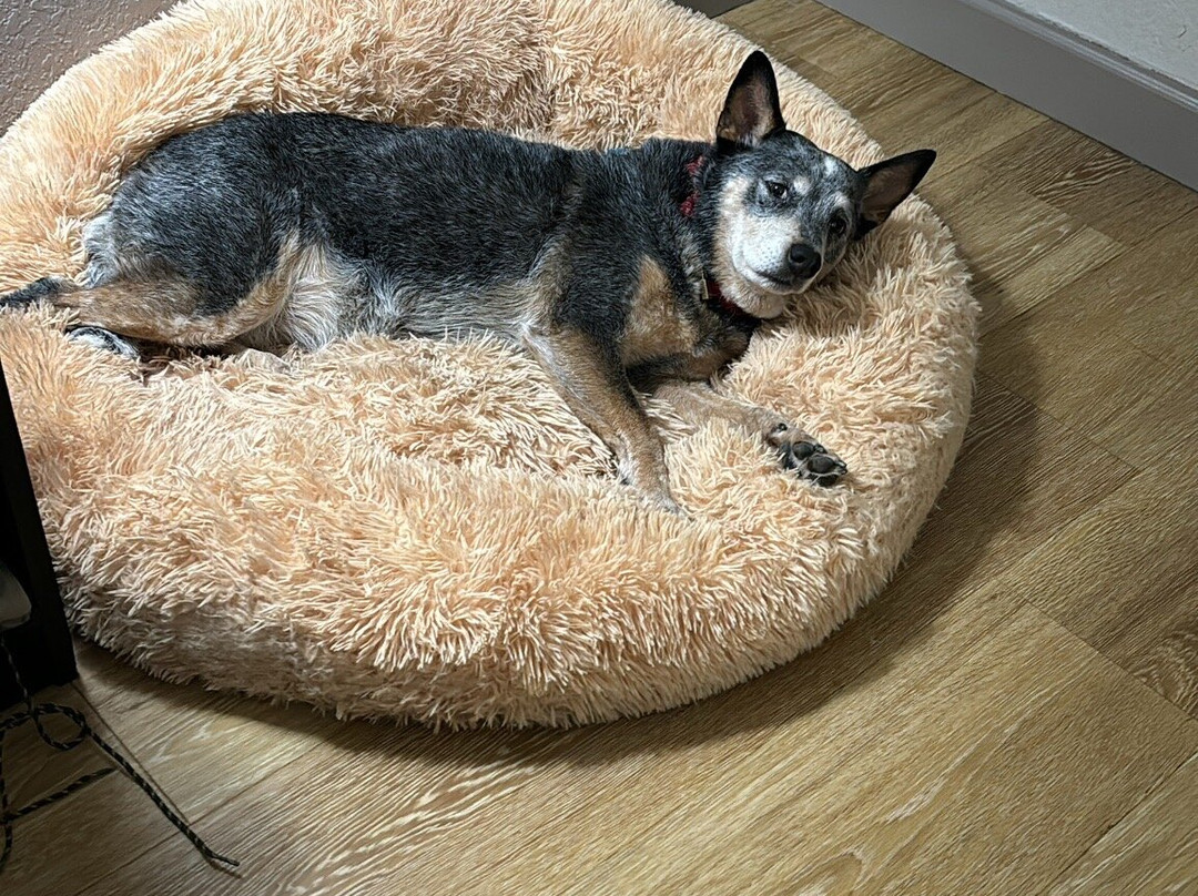 Red Roof Inn Hot Springs主图