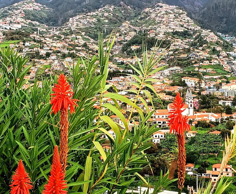 Miradouro Pico Dos Barcelos-沙尔必去景点