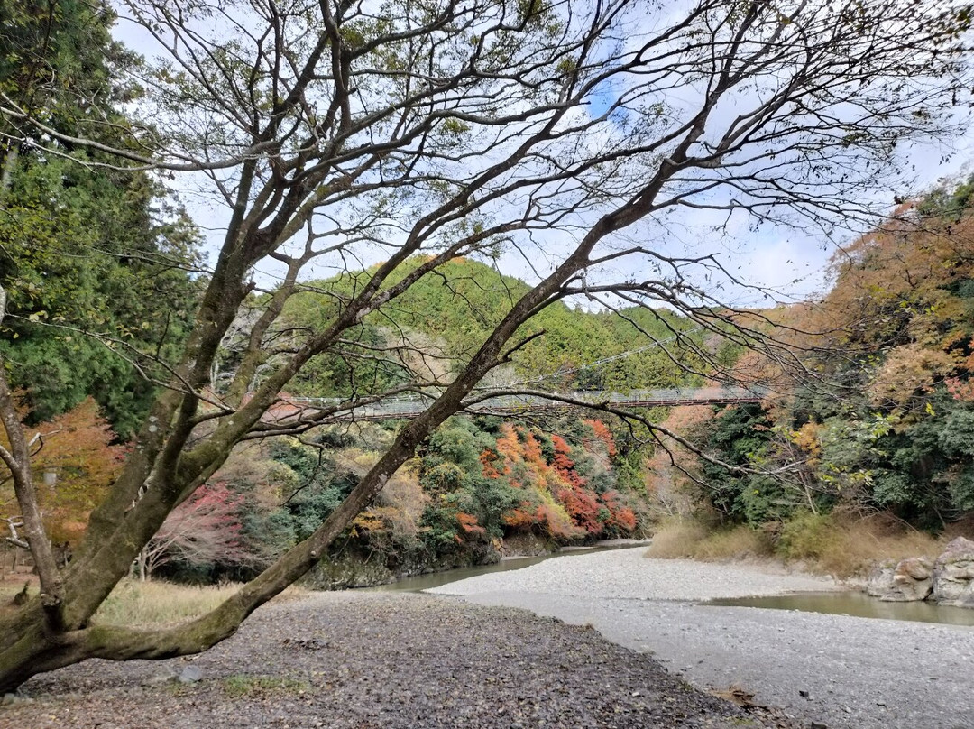 Tara Canyon-大垣市必去景点
