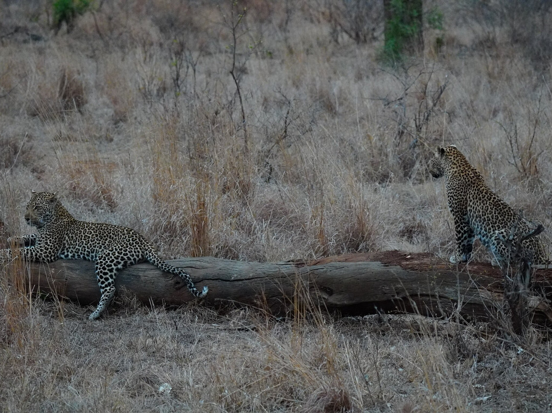 B1 Photo Safaris-雾观必去景点