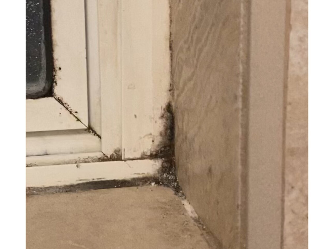 皇家豪斯特贝斯特韦斯特酒店主图