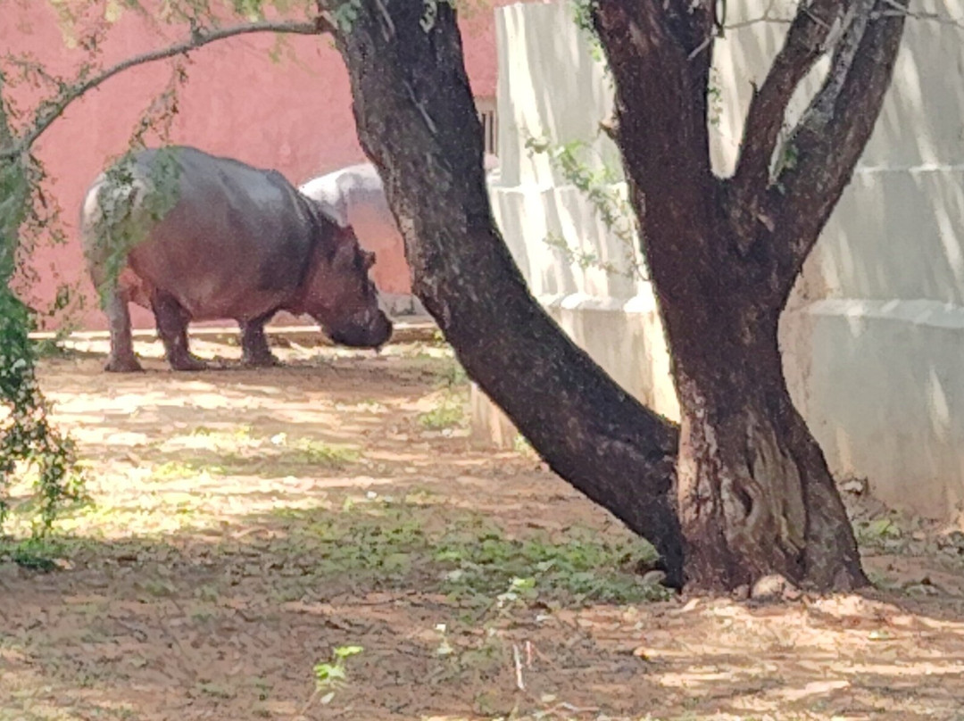 Sri Venkateswara National Park景点图片