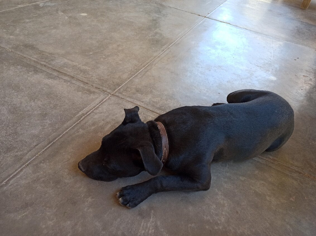 Seeheim Hotel Namibia主图