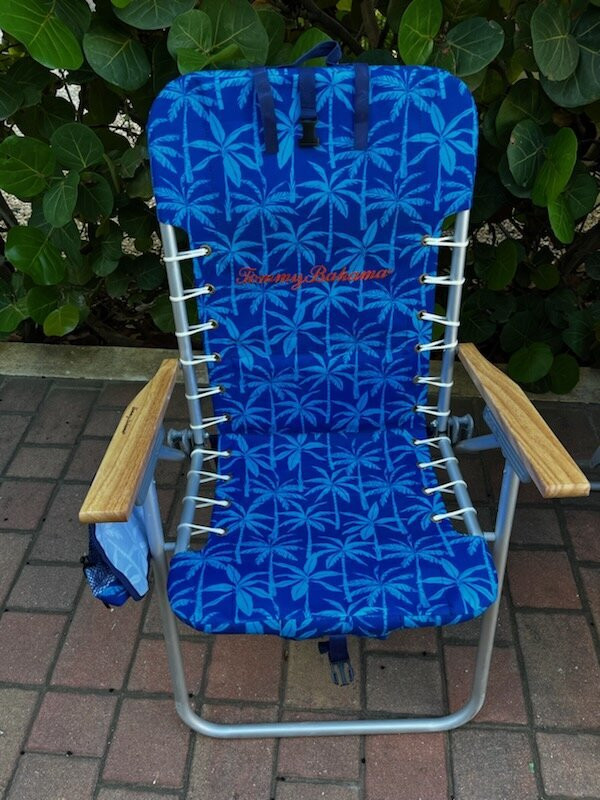 Coconut Rentals Aruba-棕榈/鹰海滩必去景点