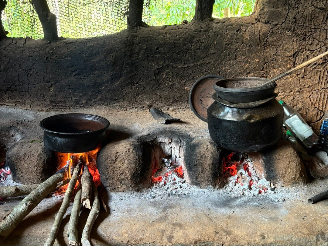 Ananda Special Jeep Safari & Village Tour-哈巴拉娜必去景点