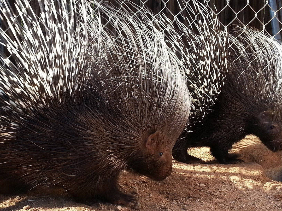 Ghost Ranch Exotics-马拉纳必去景点